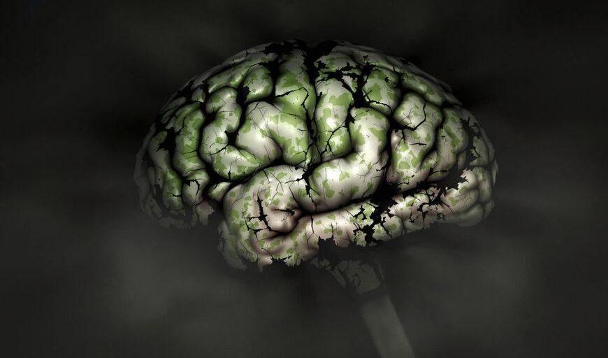 What is Brain Rot?