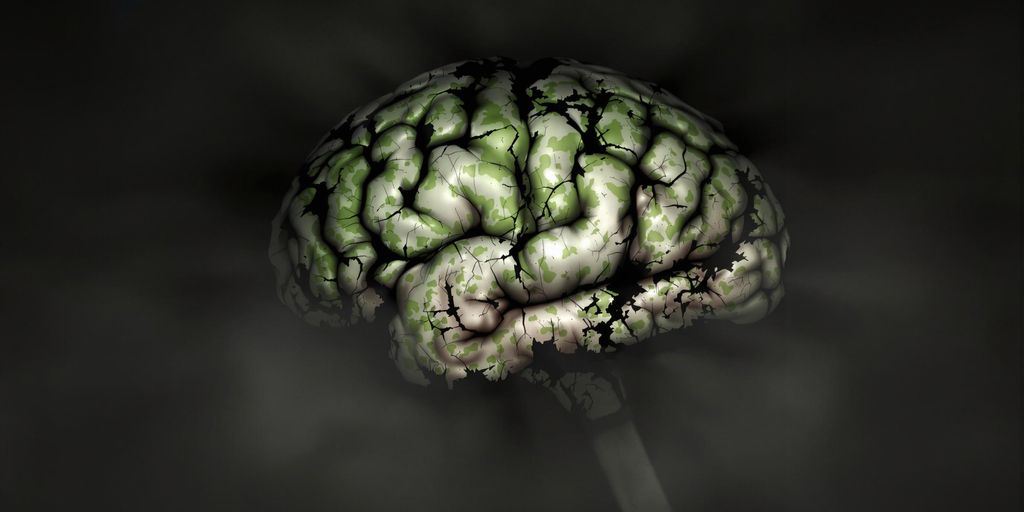 Decaying human brain with dark, cracked areas visible.
