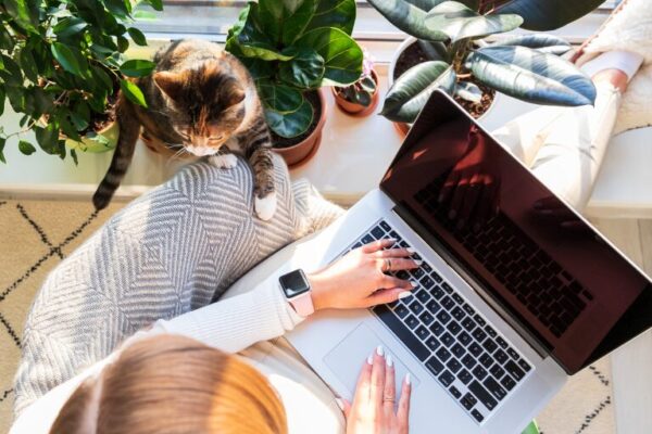 How to Use AI to Automate Your Freelance Work Woman working on a laptop by a sunny window surrounded by houseplants, with a cat sitting nearby and a smartwatch on her wrist