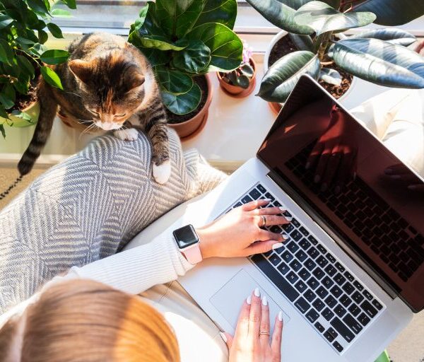 How to Use AI to Automate Your Freelance Work