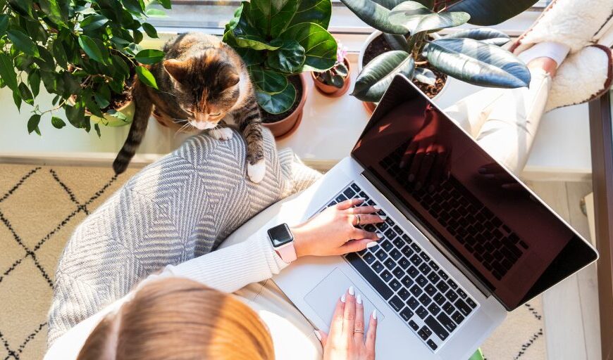 How to Use AI to Automate Your Freelance Work